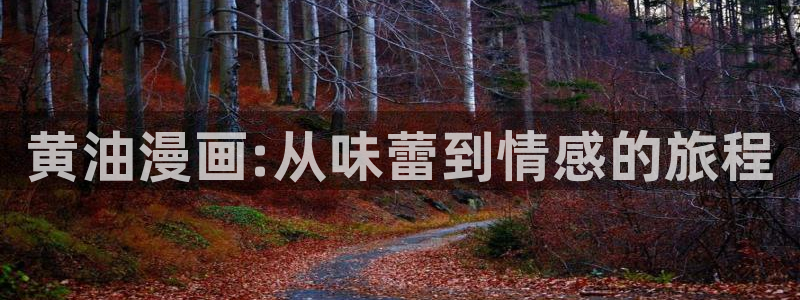 韩漫漫画免费阅读看漫画下拉双男：黄油漫画:从味蕾到情感的旅程