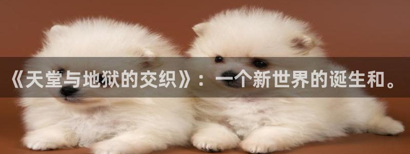韩漫漫画入口免费在线观看：《天堂与地狱的交织》：一个新世界的诞生和。