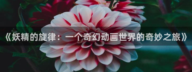 韩漫漫画在线免费观看入口